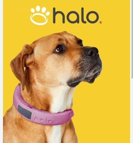 Whoop for Dogs GPS Health Tracker