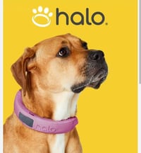 Whoop for Dogs GPS Health Tracker — 1