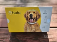 Whoop for Dogs GPS Health Tracker — 3